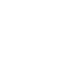 LEGAL 500